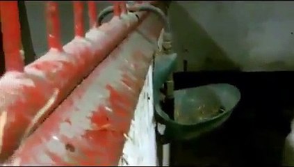 All the crazy shit i did tonight