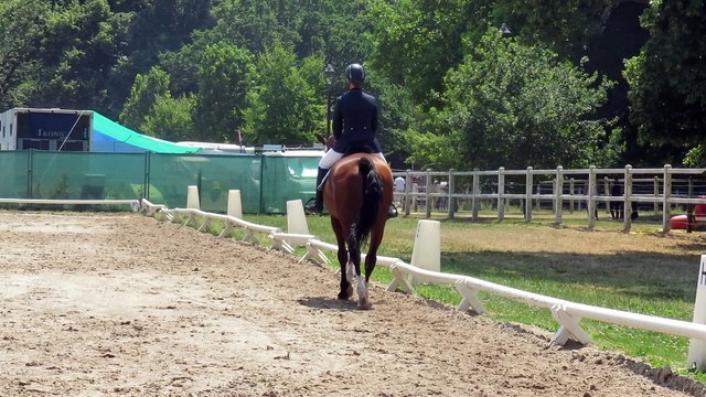 15-07-02 - Amateur Team - Dressage du CCE