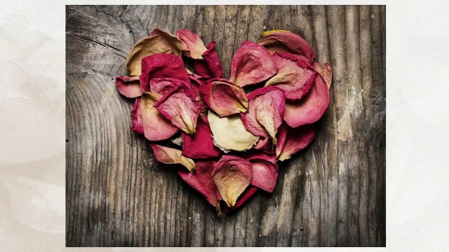 Dallas Wedding Videographer | Call 972-378-0446