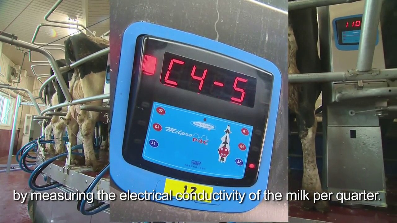 Milkline Proactive 60 Point Rotary Milking Parlor in Japan