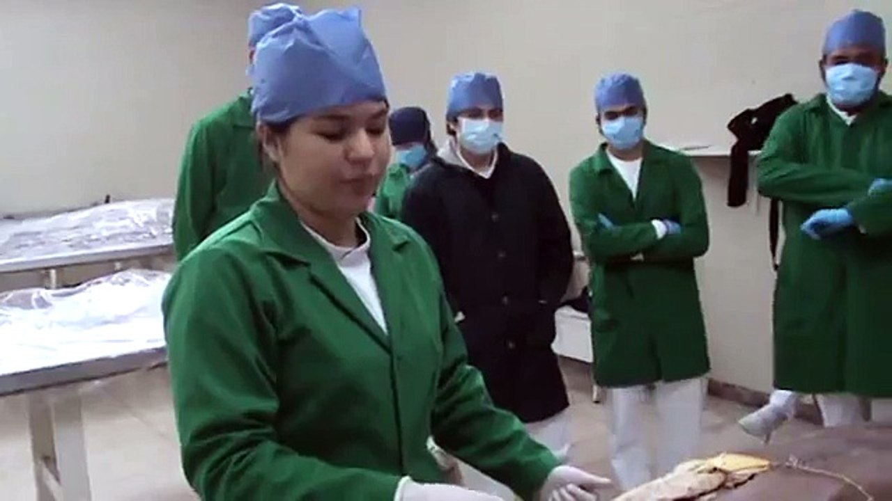 UV Xalapa Anatomía pectoral menor.MPG