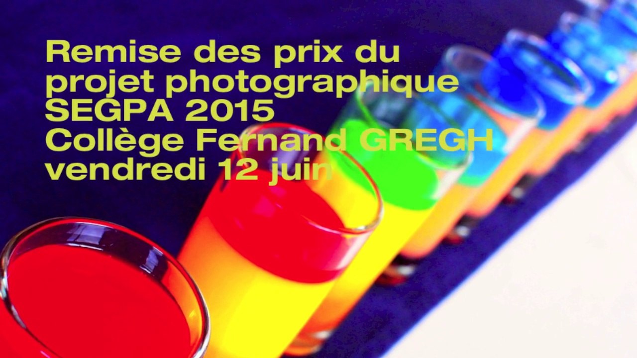SEGPA remise des prix de l'expo concours photos 2015