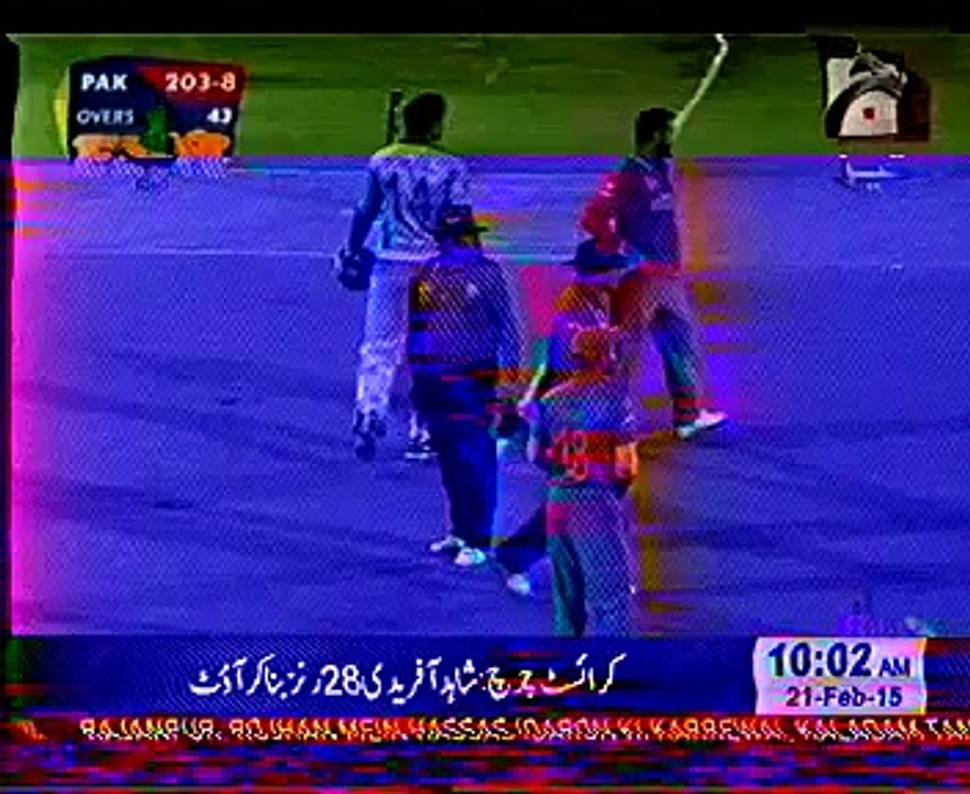 new tezabi totay cricket