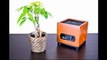 Best Affordable Air Purifier