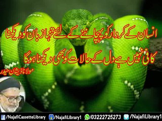 Insaan Ka Kirdar Ko Pehchana | Maulana Zeeshan Haider