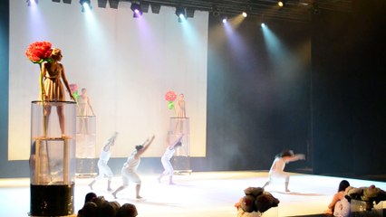 Spectacle de danse Estelle Simon 2015 au Castel
