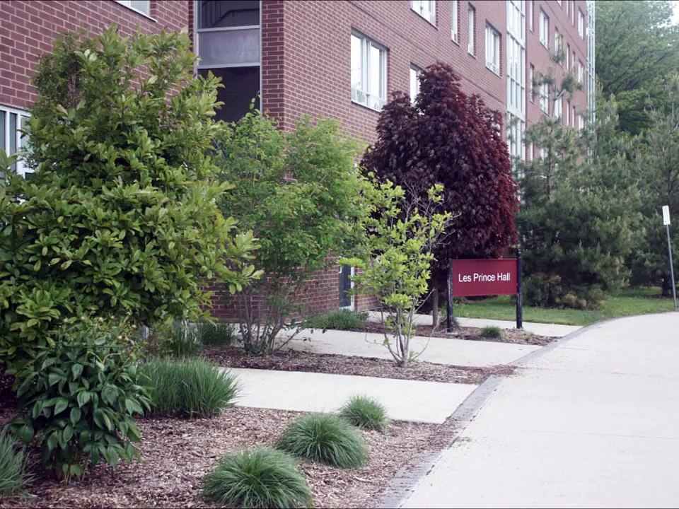 McMaster Residence - Les Prince Hall - video Dailymotion