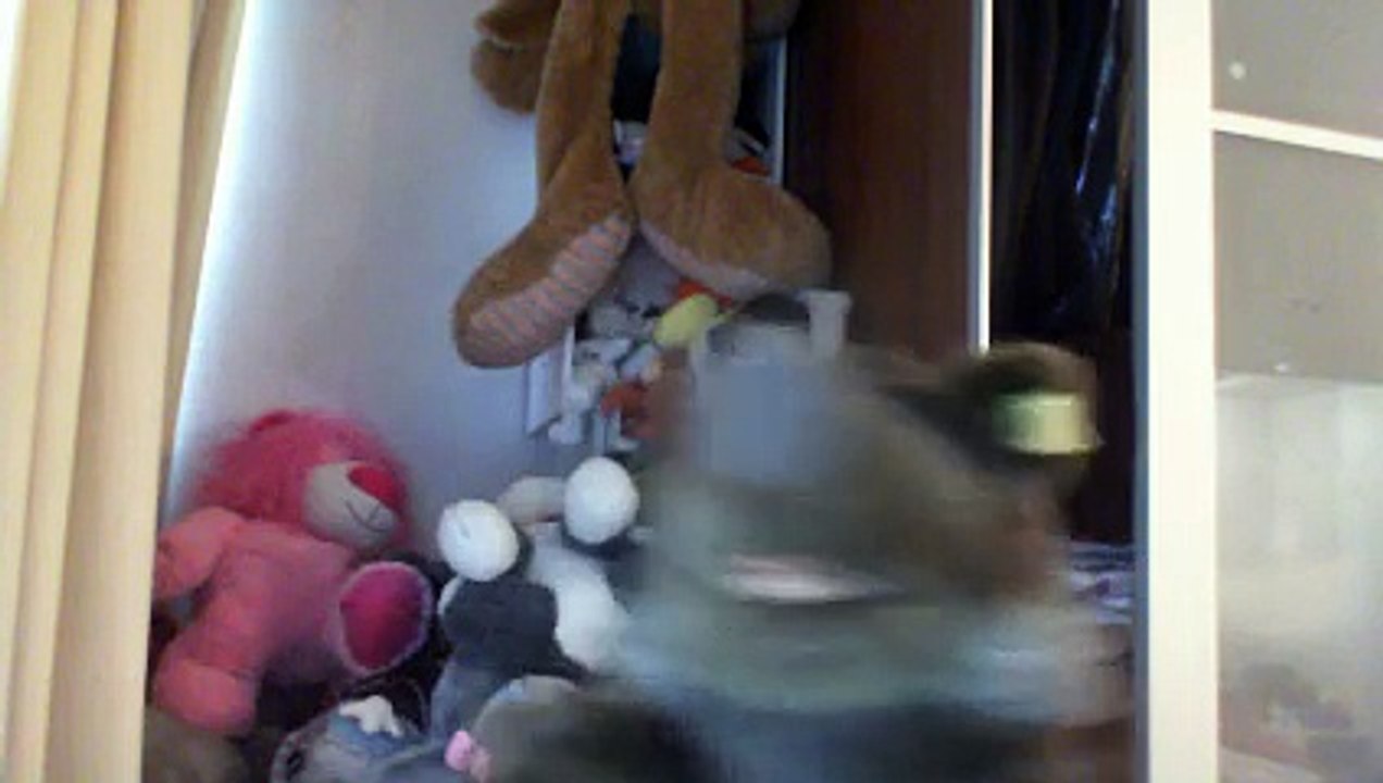 Wiwi muppetshowise "andante pour trompette" de Saint Preux