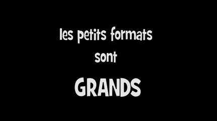 REGARD 344 - FANTASMAK - la bd au petit format - Rencontre avec Gérard Thomassian - RLHD.TV