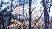 The Cumberland Gap National Park Pinnacle Presentation