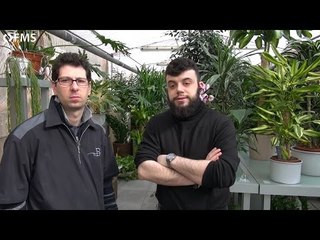 Parrot Flower Power: Opinione dell'esperto botanico