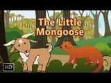 Short Stories For Children - The Little Mongoose - Stories of Wisdom - Animated Stories With MORAL