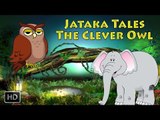 Jataka Tales - The Clever Owl - Short Stories for Children - Animated Cartoon Stories for Children