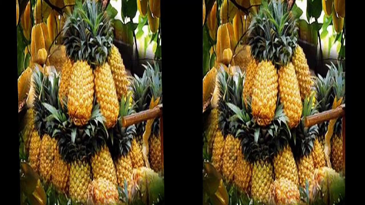 Piña