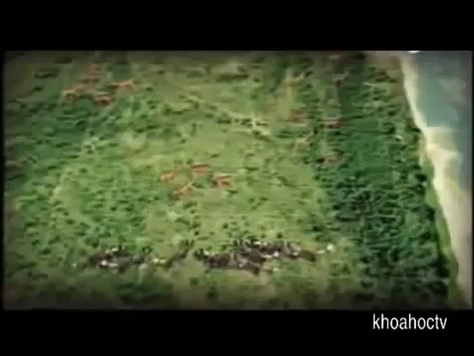 National Geographic Documentary Wild Animals attack National Geographic Animals