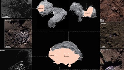 Scientists say comet 67P could be home to alien life
