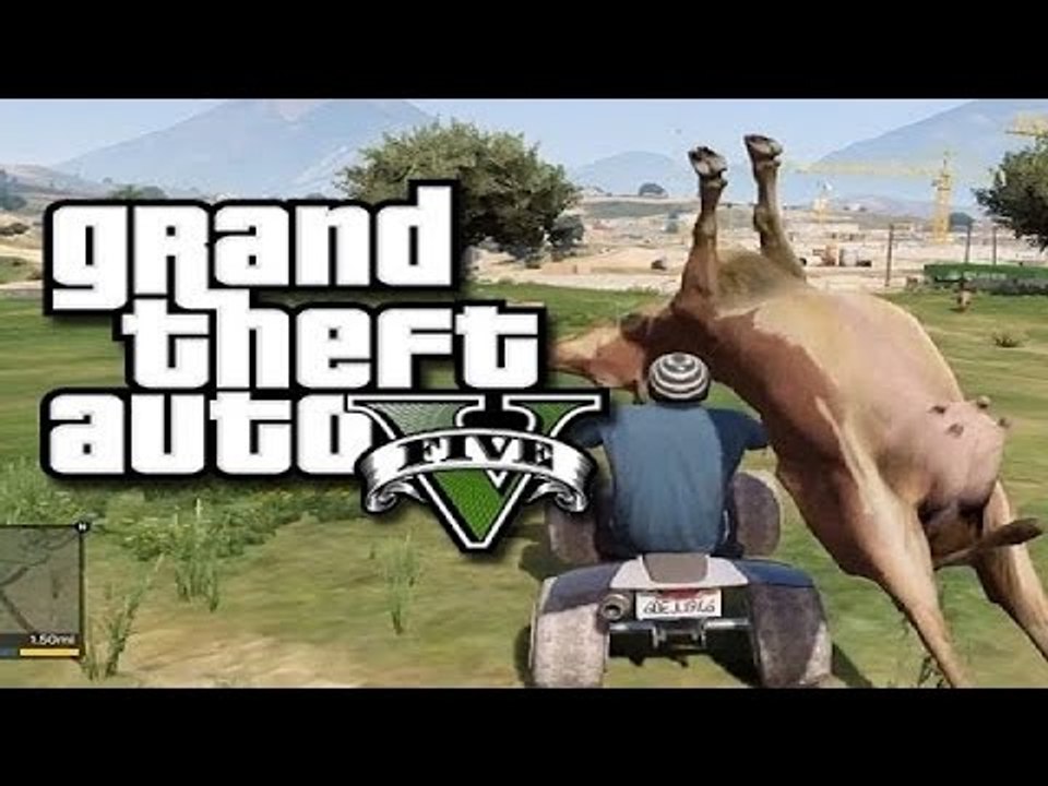 FUNNY MOMENTS, DES RIRES ET DU WTF !