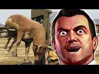 DES MOMENTS FUN ET DES ACTIONS DÉLIRES