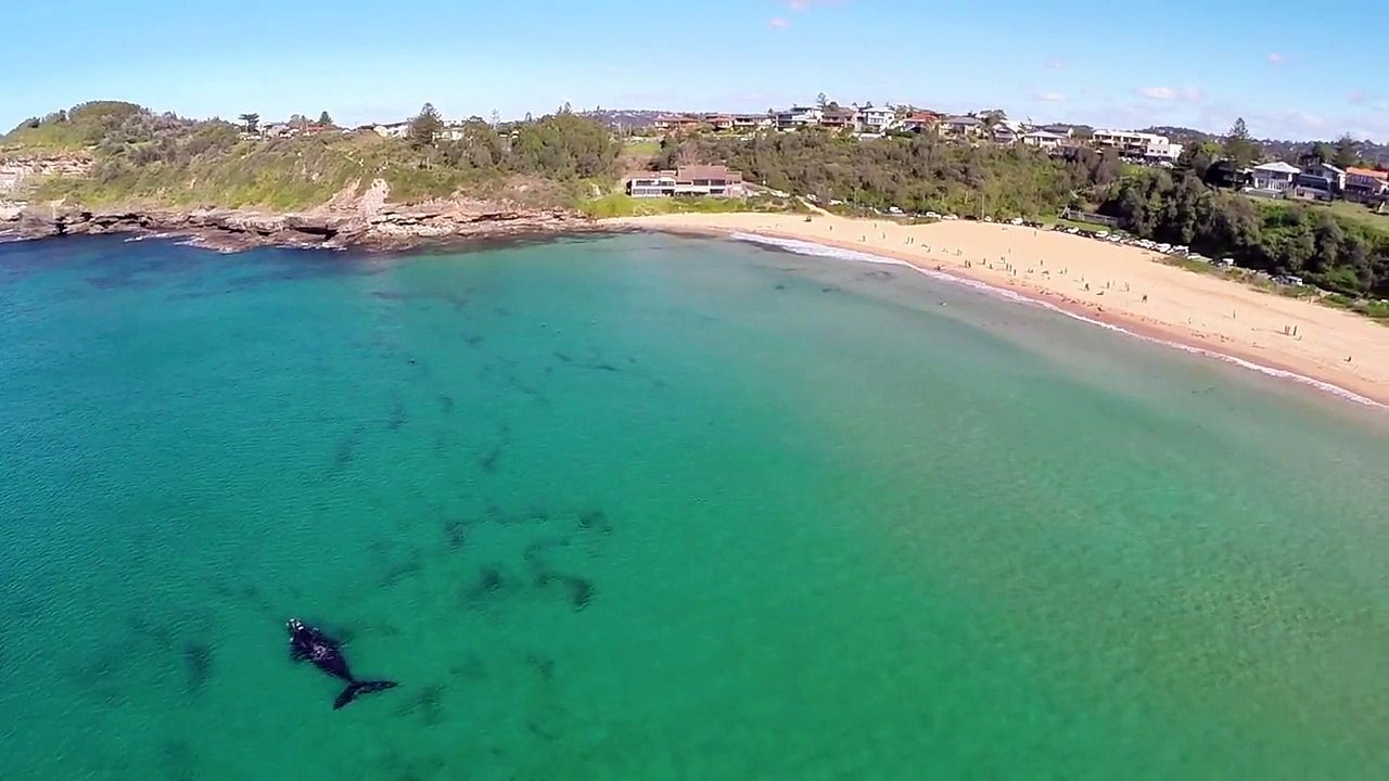 surf vu de haut encore plus beau