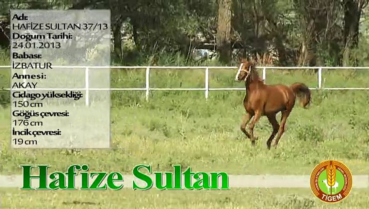 HAFİZE SULTAN