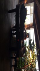 si layt otelde havuzdan sonra canlı müzik keyfi misafir olarak