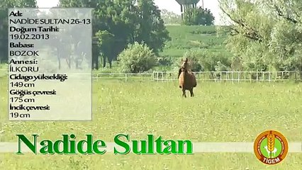NADİDE SULTAN