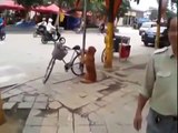 Dog Guards Owner's Bike From Being Stolen