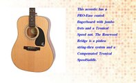 Epiphone Pro 1 Acoustic Guitar system for Beginners