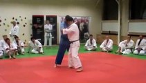 Judo - Uchi-mata (one step entry) demonstrated by Kosei Inoue (JPN)