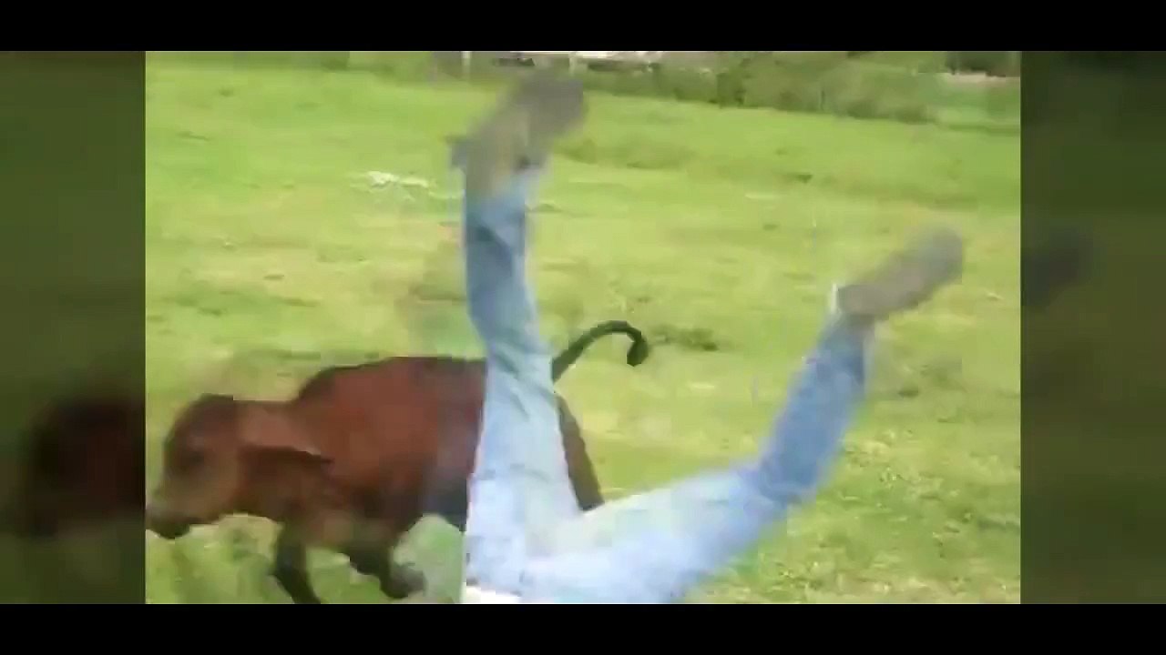 When Animal Attacks Human | animal attacks humans caught on tape