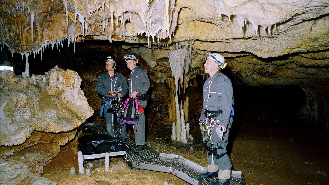 Werner Herzog, Dominique Baffier, Jean Clottes: Cave of Forgotten Dreams ==>[Free Streaming]