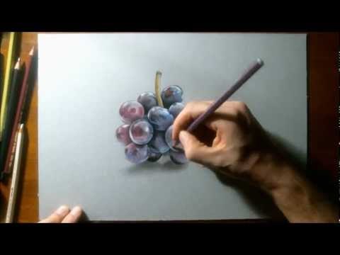 Realistic Drawing - How to draw grapes