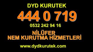 Nilüfer Nem Alma ve Kurutma « DYD 444 0 719 » Nem Alma