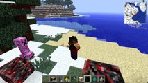 Minecraft | Mods Re-Locos :3