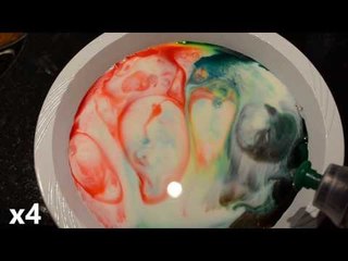 Lait multicolore et hydrophilie - Scilabus 02