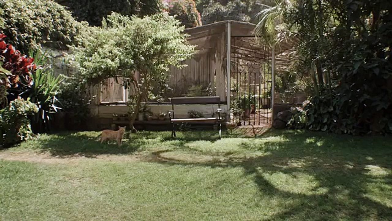 Casa Dentro - Trailer Legendado