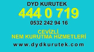 Cevizli Nem Kurutma Firması « DYD 444 0 719 » Nem Kurutma