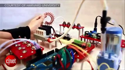 CNET segment on the Soft Robotics Toolkit