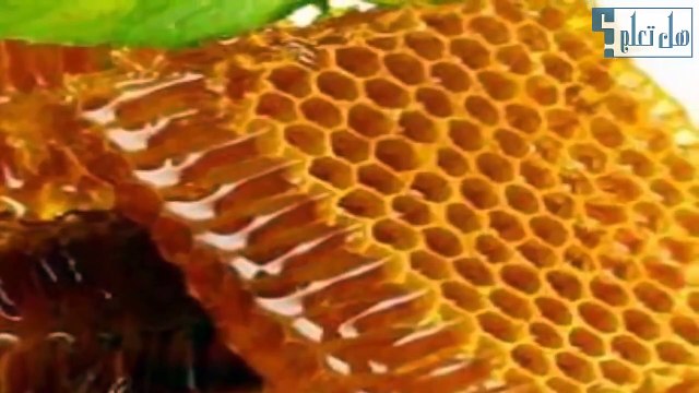 ازالة شعر الوجه بالشمع افضل طريقة لازالة شعر الوجه