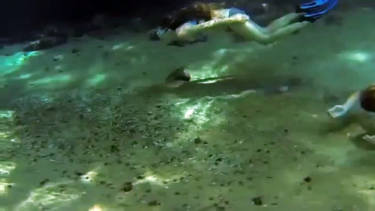 Scuba Diving with the girls Freediving