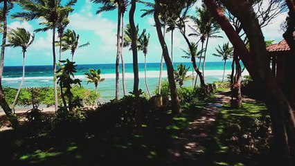 El Alfa - Yo Te Amo Tu Me Amas [Video Oficial by @JcRestituyo]