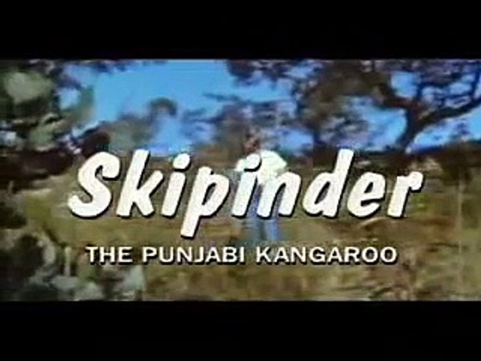 Skipinder 2