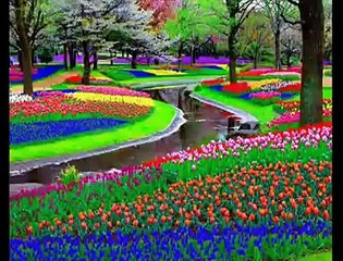 The Beautiful Gardens With Flower