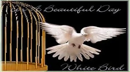 It's A Beautiful Day - White Bird (1969)