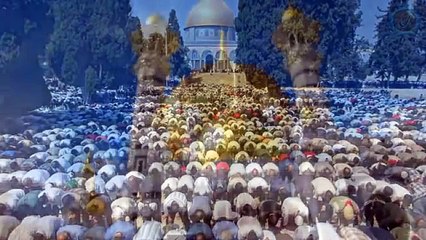 Najljepši ezani na svijetu