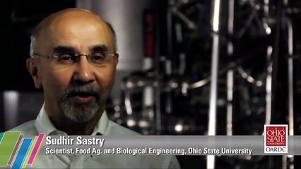 Ohmic Heating in Food Processing