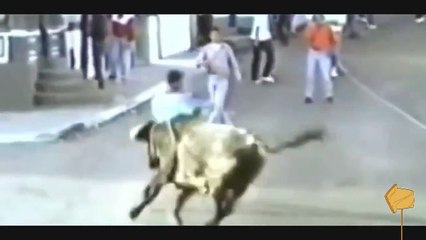 Best BULL Attacks  Funny Video Compilation   2015 HD QUALITY