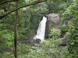 A beautiful waterfalls in wayanadu, Kerala, India !