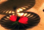 Red Roses And Seashell | Animation | Motion Background | After Effects | Stock Video Footage