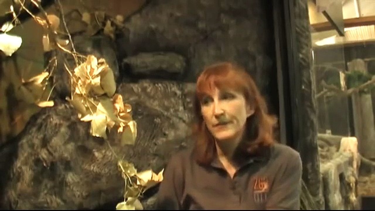 Foam Gone Wild - Zoo Make-Over with Foam and Foam Coat - by Melanie Richard
